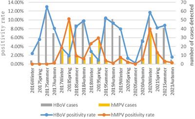 Comparison of the clinical features of human bocavirus and metapneumovirus lower respiratory tract infections in hospitalized children in Suzhou, China